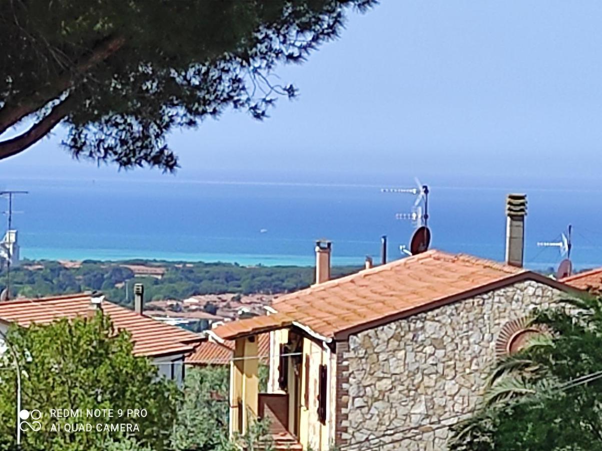 Lombarda 22 *